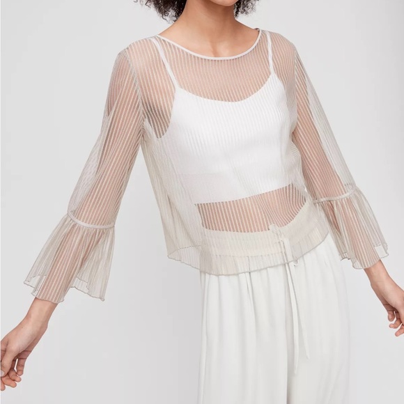 Aritzia Tops - NWOT Aritzia Babaton White Mesh Humbert Sheer Top Blouse Small